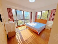 宁波鄞州中河低楼层 全景落地窗 房间大带衣帽间 近印象城 鄞州万达广场出租房源真实图片