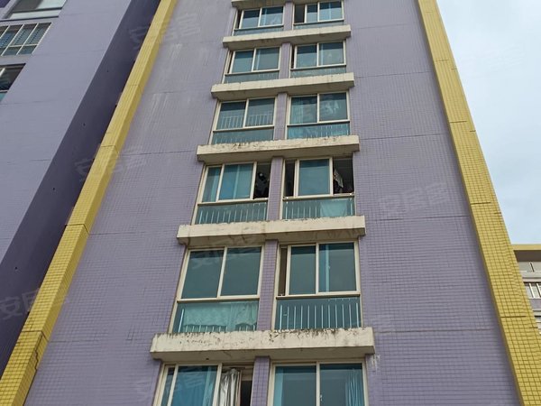 泉州洛江万安街道东辰大厦东辰大厦 3室2厅1卫 98平 精装修 南北通透