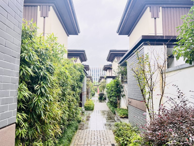 宁波湾 国建军湾里院子 海风四季旁 115平别墅价格可谈