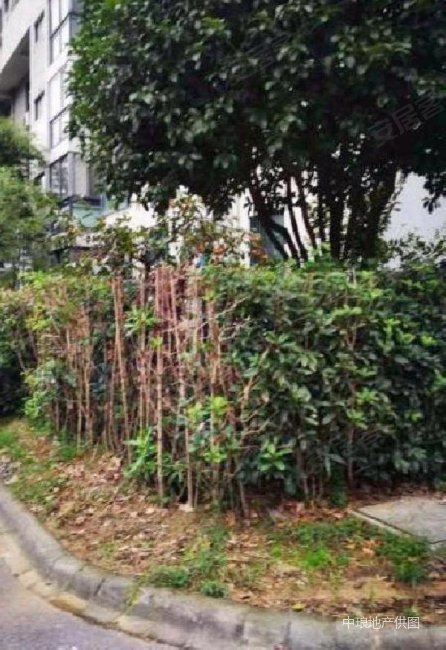 南京房产网>南京二手房>江宁二手房>将军大道二手房>翠屏湾花园城>446