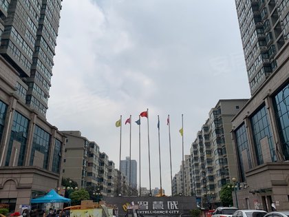 智慧城(北区),子午大道169号 - 西安智慧城(北区)二手房,租房,房价