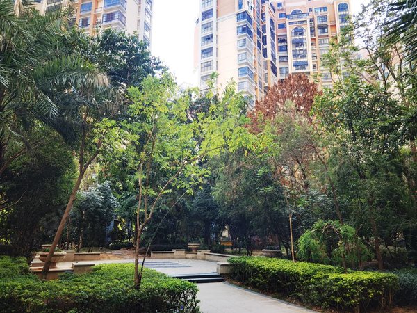 南宁青秀凤岭北维也纳森林万象城旁,航洋国际边,办公好房,维也纳森林