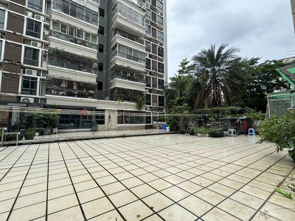 深圳罗湖清水河金祥都市花园新上好房子,带天台花园,清爽装修,客厅