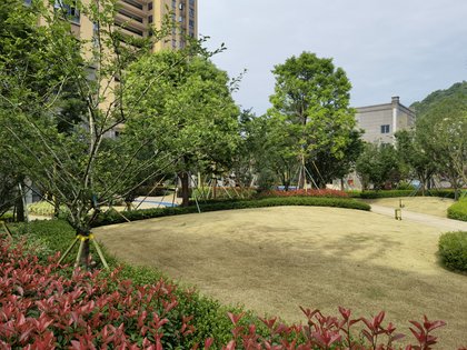 瑞盛中央公园,玉龙南路3号 - 宁德瑞盛中央公园二手房,租房,房价-宁德