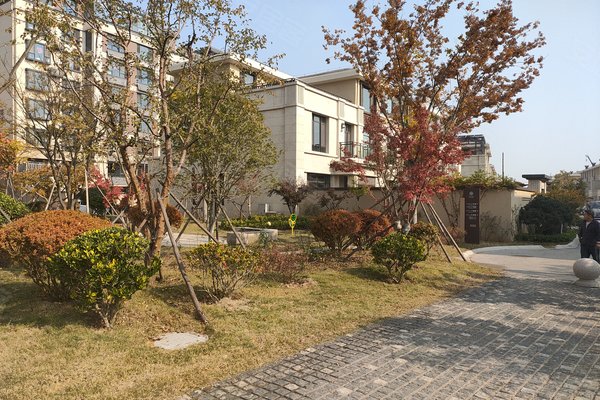 桂花园,青岛路,近东营路-日照桂花园二手房,租房-日照安居客