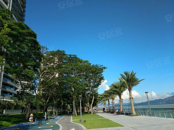 深圳南山蛇口半岛城邦(四期)半岛城邦四期,两房,空房,看海景,随时看房