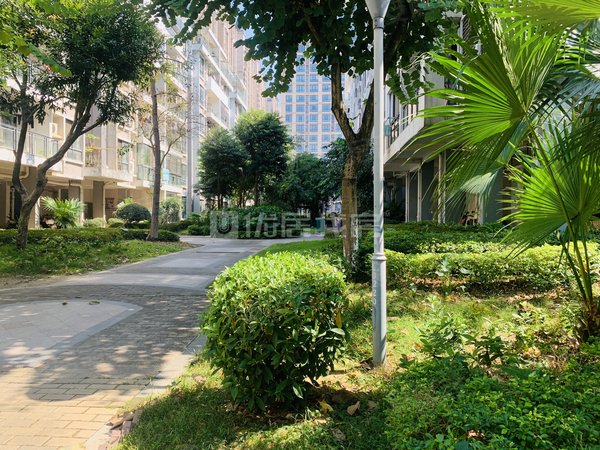 南宁兴宁东沟岭金源橘子郡金源橘子郡 电梯房 精装 3室 押二付一 87平