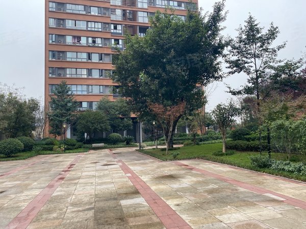 重庆渝北空港中国摩林莺花园下轨轨就到精装二房出租只租爱干净的朋友