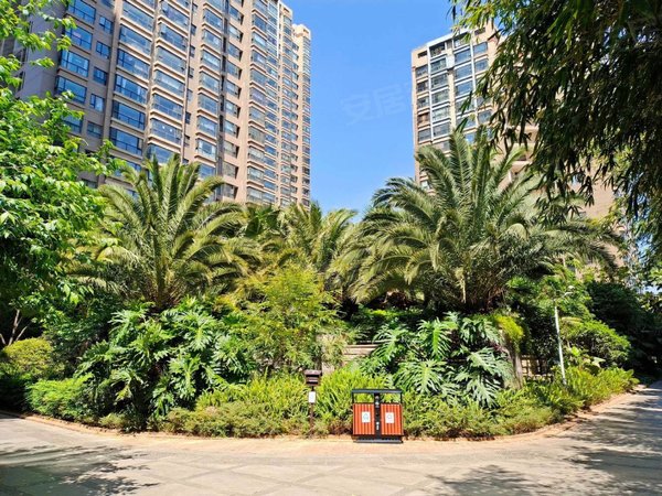 昆明五华翠湖版筑翠园新出西南端头房,精装四房,阳光好,空房出租出租