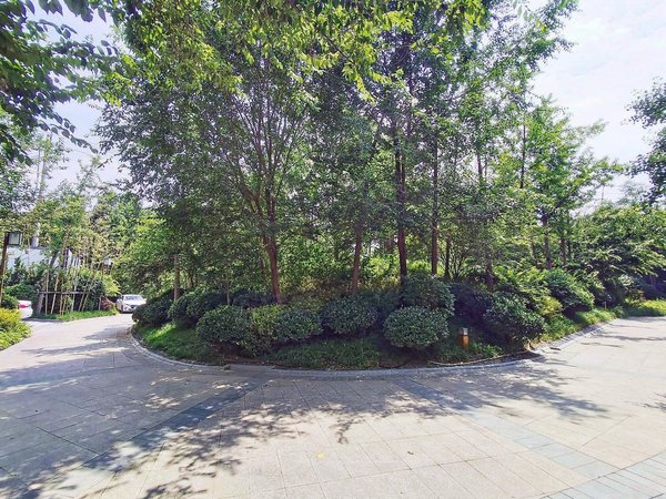 一阳g房 明卫 初次出租 江南府柏林郡出租房源真实图片