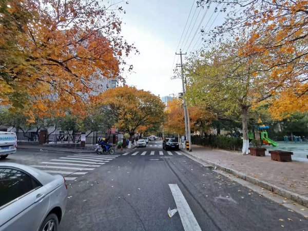 绍兴路租房,永嘉路小区 2室0厅1卫 精装修57平米,市南租房-青岛58安居