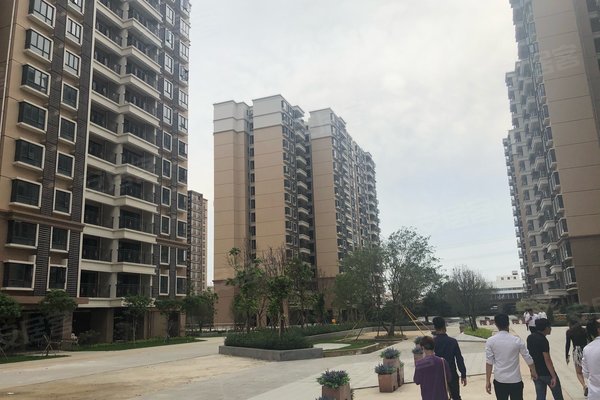 广州小区 花都小区 花都西小区 新力荔红花园 新力荔红花园怎么样发布