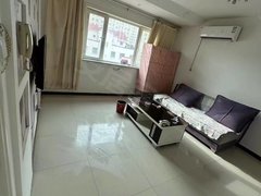 大上海单身公寓精装修带家具家电现在对外出租。。