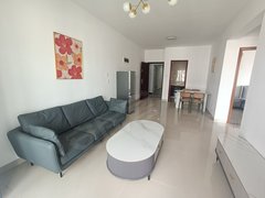 海口龙华国贸新房 首租三房拎包入住精装修 国兴大道南大桥下先到先得出租房源真实图片