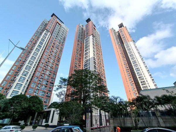 深圳罗湖蔡屋围幸福里新上 幸福里 万象城商圈 业主急租 随时看房出租
