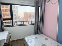 合肥新站陶冲湖合肥综合保税区京东方B9公司东方人才公寓巡鹰公司三利谱公司出租房源真实图片