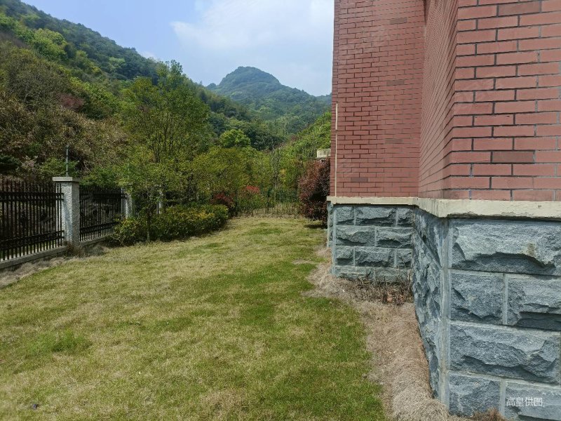 滕园毛坯低价独栋别墅