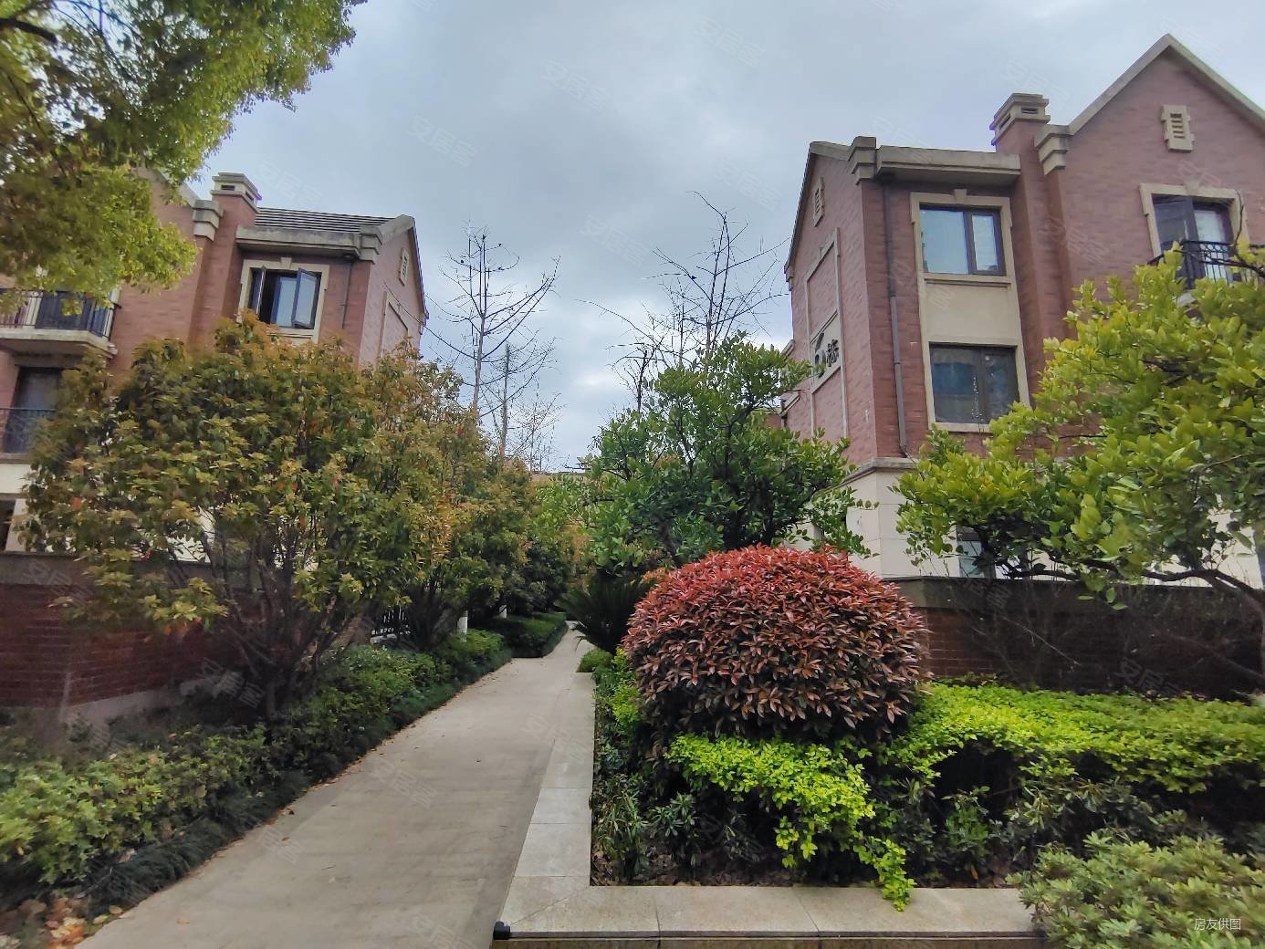 建邺江心洲 低密叠墅 南北通透 得房200平