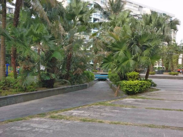 珠海香洲夏湾春泽名园近拱北关口,夏湾春泽名园 精装一房一厅出租.