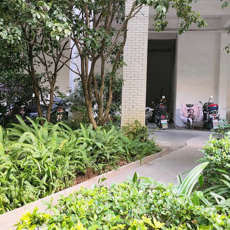 【志兴金碧园, 志兴金碧园小区详情,房价走势,房源,业主论坛】- 韶关