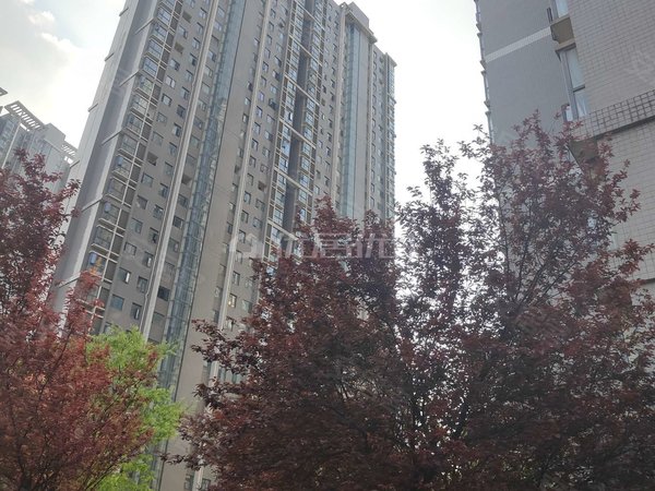 贵阳观山湖世纪城金阳世纪城龙泉苑东区电梯房 世纪城龙泉苑 普装 整
