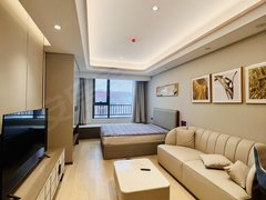 南京鼓楼湖南路绿地紫金中心 轻奢单室 温馨整洁 可月付 可带宠物出租房源真实图片