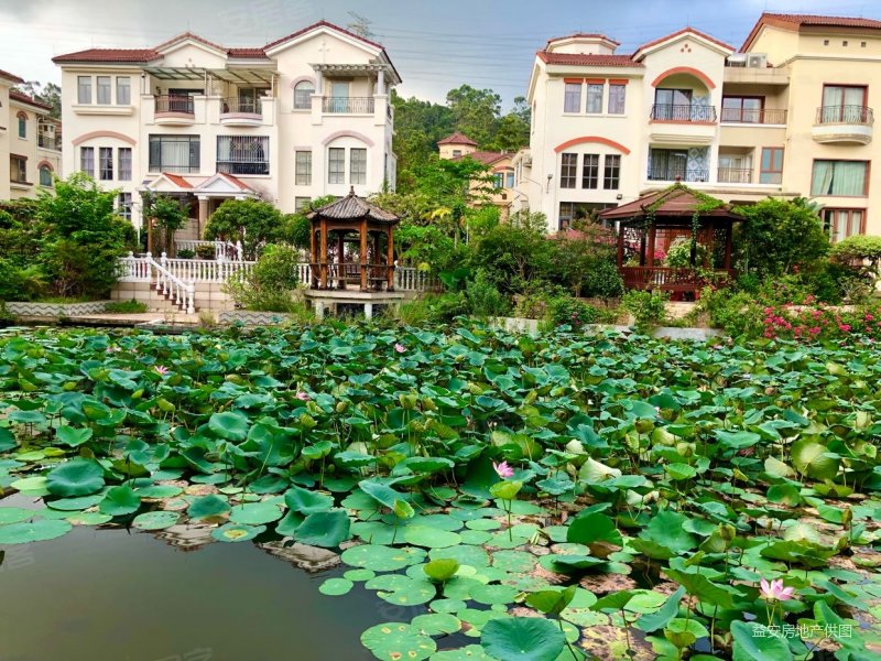 东莞房产网>东莞二手房>大岭山二手房>杨屋二手房>中惠沁林山庄>