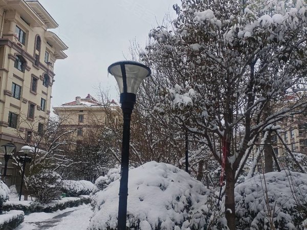 仲村东小区豪装两室,城阳租房-青岛58安居客