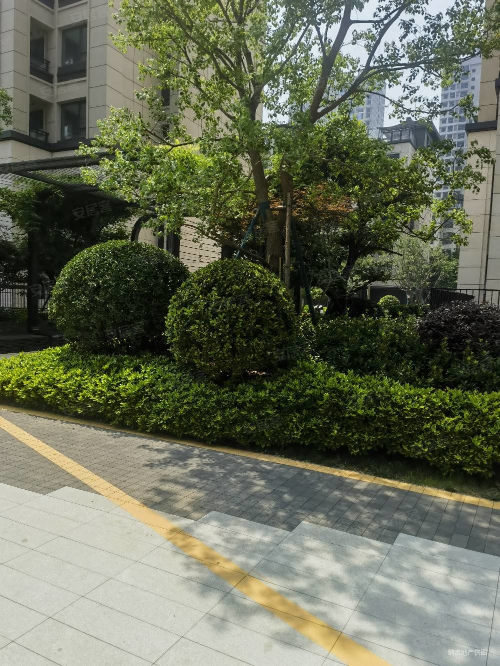 金泰锦府5室3厅4卫260㎡南北580万