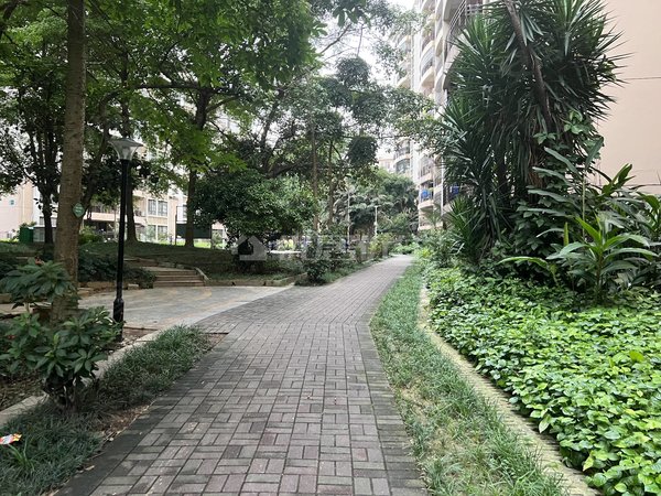 【多图】翠堤湾,华强租房,翠堤湾 3室2厅2卫 99平 电梯房 精装修,西乡