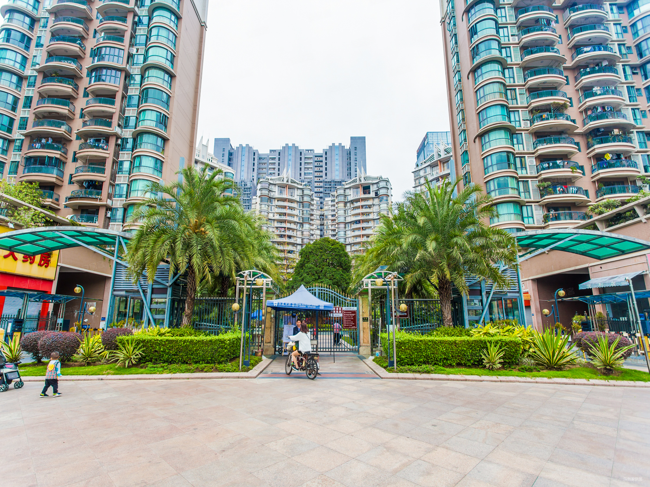 世博嘉园 税费巨少 笋盘 单价低 产权清晰 业主急急急急