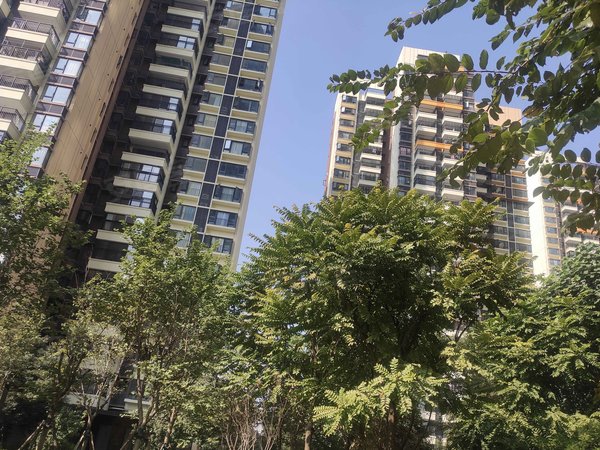 【多图】华润万象华府,北湖租房,华润万象华府 小两房配齐出租,拎包