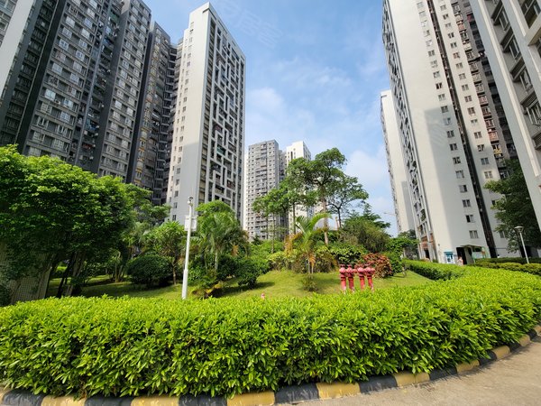 【多图】广氮花园,棠下租房,广氮花园 高层电梯2房 采光好 南北通透 