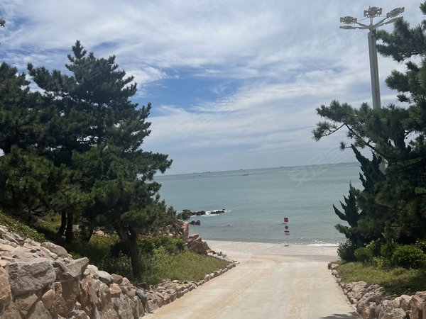 威海荣成石岛凤凰湖d区(凤凰小区500-719号)凤凰湖d区电梯一居室出租