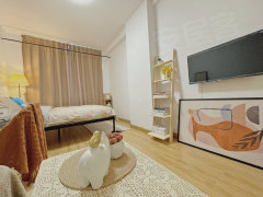 深圳布吉大芬3号线500米直达福田  免一个月房租活动，精装公寓出租房源真实图片