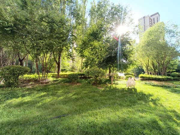 包头九原富力城富力城(D区)新装修 有空调 温馨两居 家具家电齐全拎包入住 干净立整出租房源真实图片