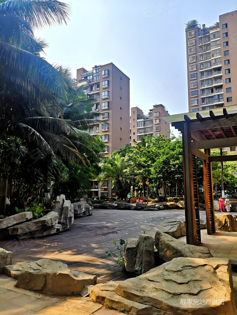 文博府精装白水塘万达广场碧桂园剑桥郡锦地翰城