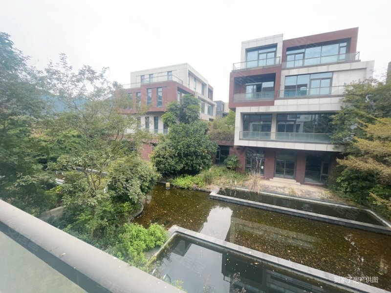 市区平层价,买温泉入户独栋大别墅,蝶泉湾,大花园送车位