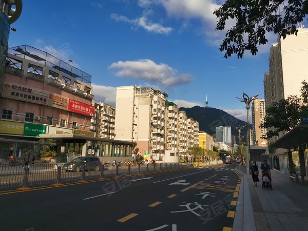 深圳罗湖莲塘中兴花园中兴花园(免费停车 可长租)104平米3房2厅 仅租