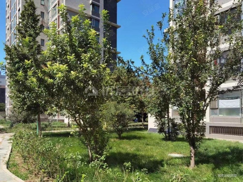 武夷花园月季园