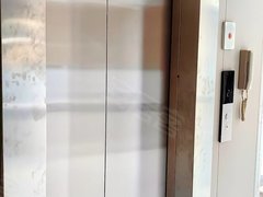 西双版纳景洪龙舟广场泼水广场 全新装修电梯房出租房源真实图片