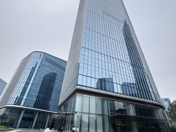 苏州工业园湖东苏州国际金融中心俯瞰金鸡湖全景酒店式高端公寓出租