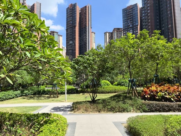 佛山顺德北滘合景天銮合景天銮