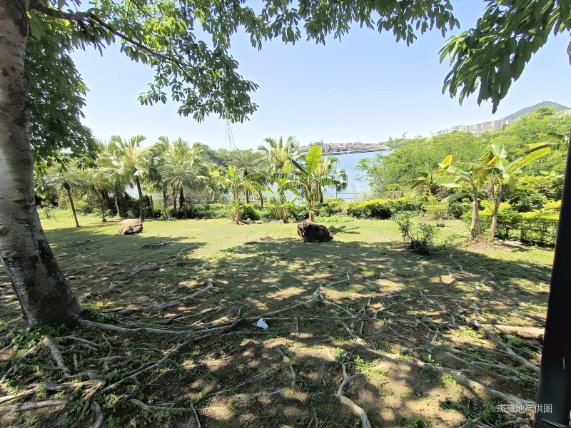 金碧御水山庄 电梯房 满五    高楼层  小三居 63万!