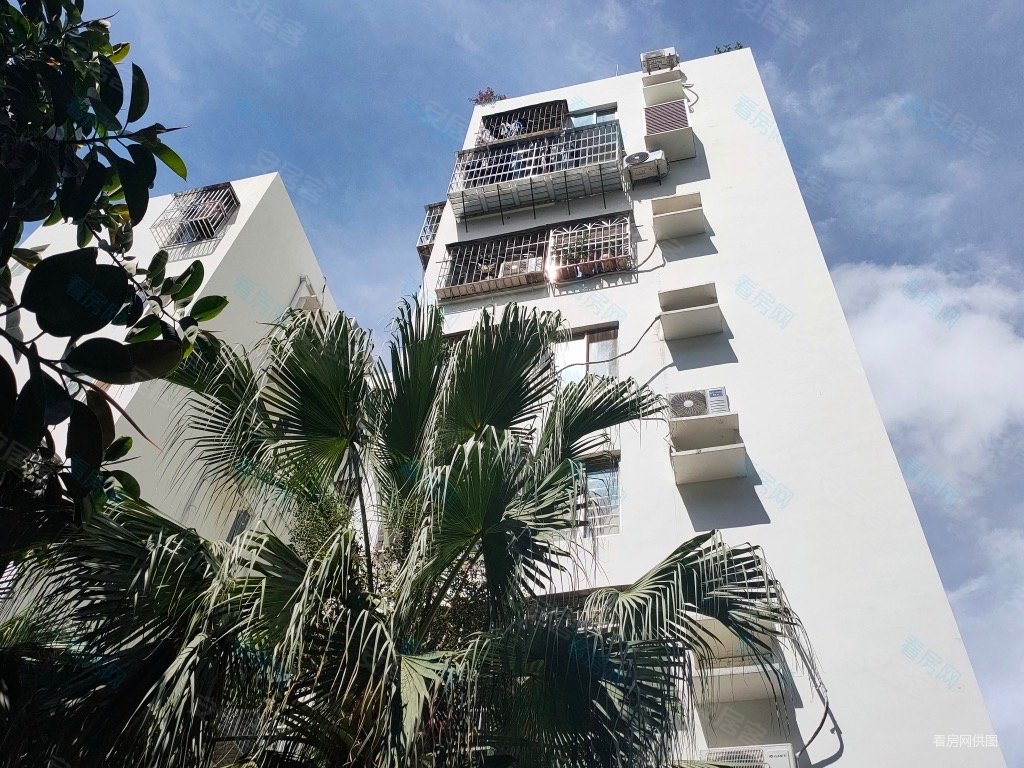 蛇口花果山米兰公寓住宅两房出售育才近2号线东角头地铁