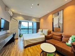 宜春袁州润达老城区润达商圈，滩下小区，碧桂园，宜春学院，大儒世家精装，拎包入住出租房源真实图片