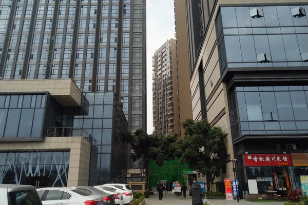 招商中央华城(商住楼)