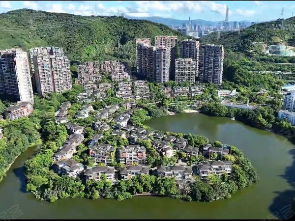 深圳龙华梅林关口星河丹堤新出星河丹堤b区1楼带花园洋房出租出租房源