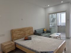 合肥新站陶冲湖京商商贸城 朝南一室 全新电器低能耗 全封闭阳台干净拎包入住出租房源真实图片