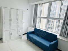 合肥新站陶冲湖客卧分离朝南一室，带飘窗，干净整洁，随时看房，图片实拍出租房源真实图片